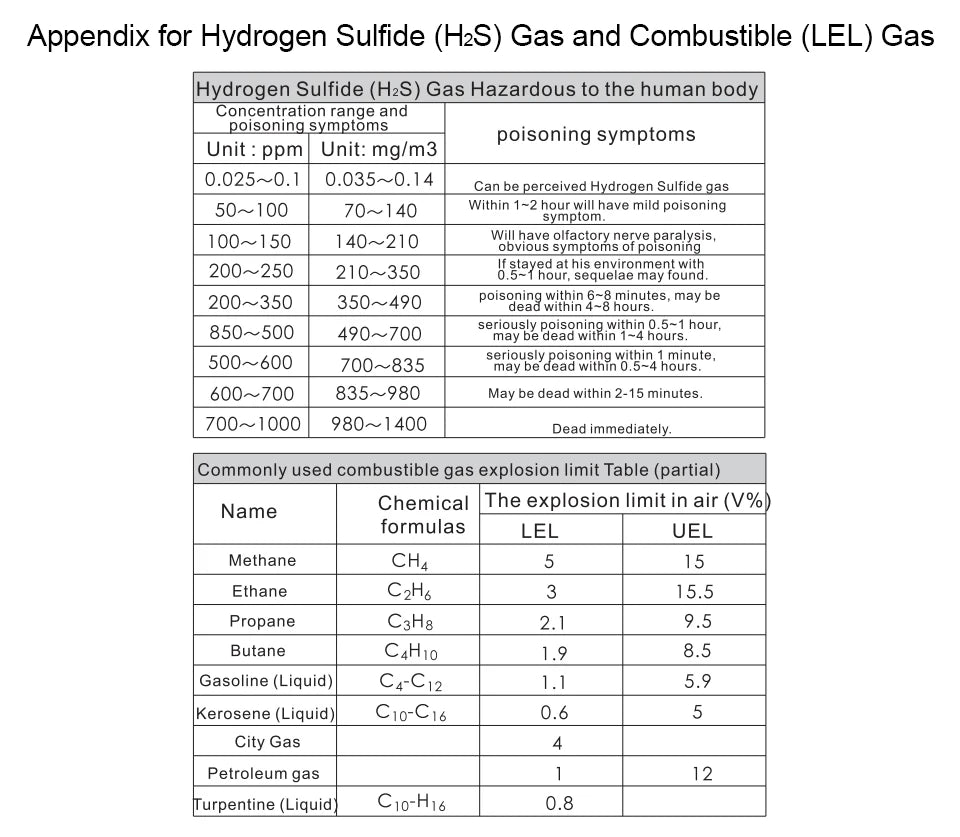 Professional Multifunctional Gas Detector Oxygen O2 Hydrogen Sulfide H2S Carbon Monoxide CO Combustible Gas LEL Gas Meter