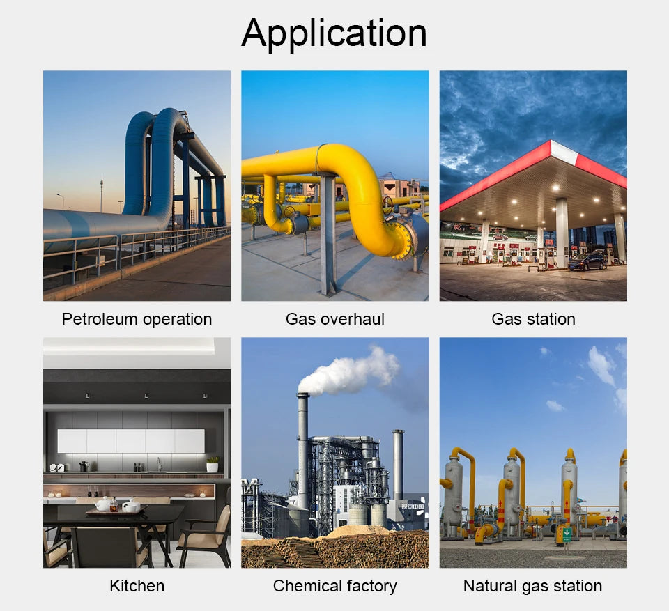 Professional Multifunctional Gas Detector Oxygen O2 Hydrogen Sulfide H2S Carbon Monoxide CO Combustible Gas LEL Gas Meter